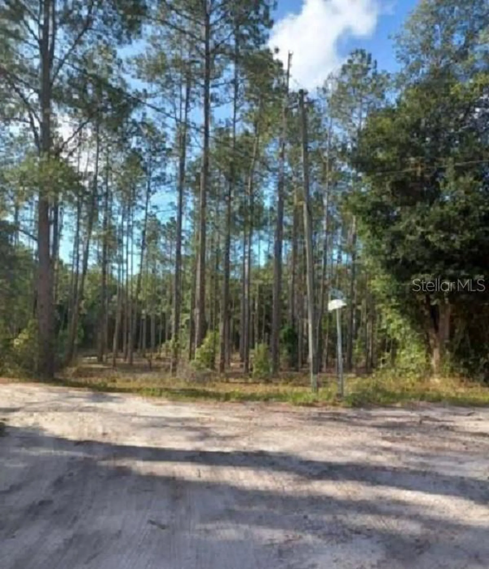 Tbd SW Corner Sw95 Ave\sw 158 Lane Dunnellon FL 34432