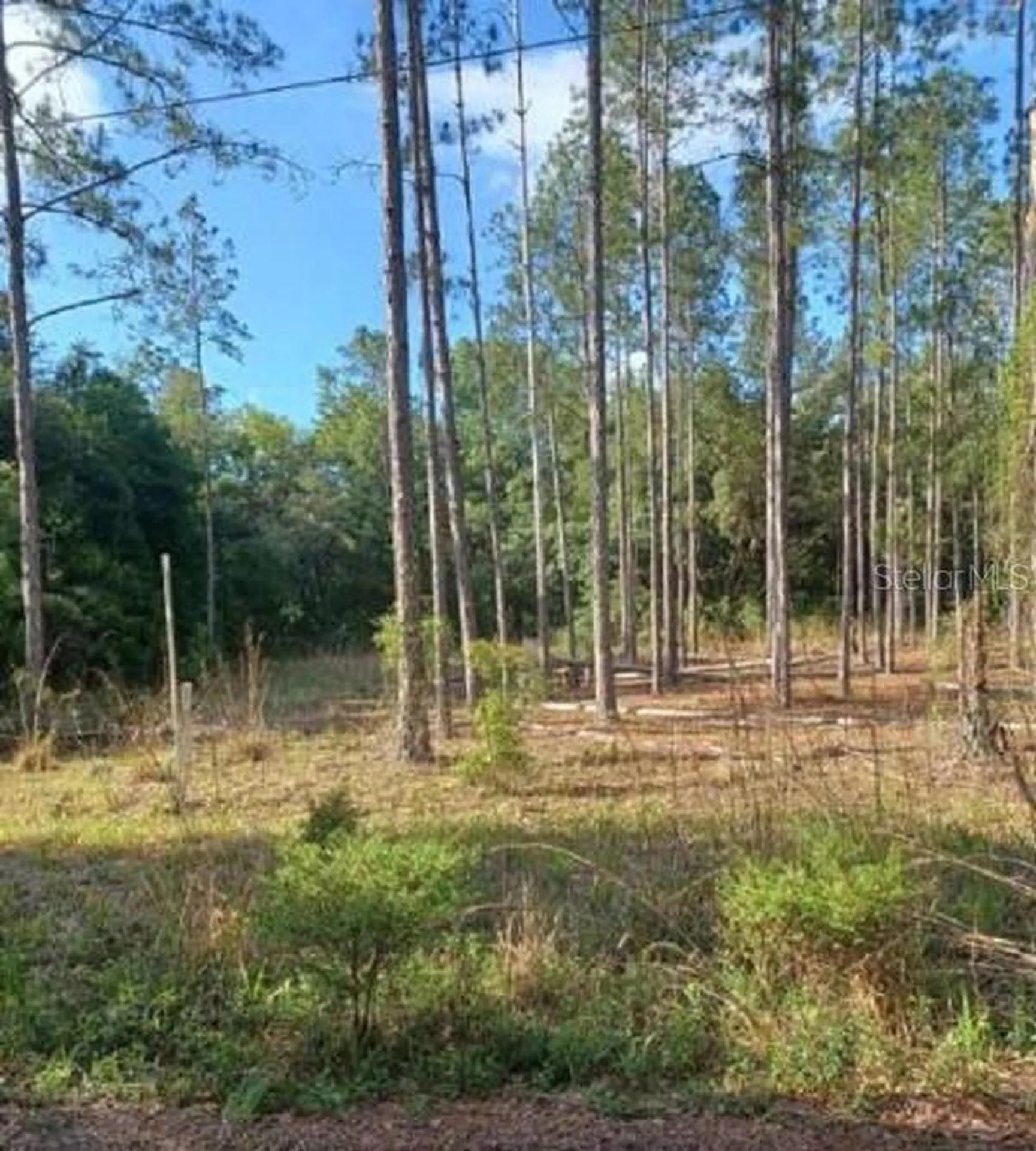 Tbd SW Corner Sw95 Ave\sw 158 Lane Dunnellon FL 34432