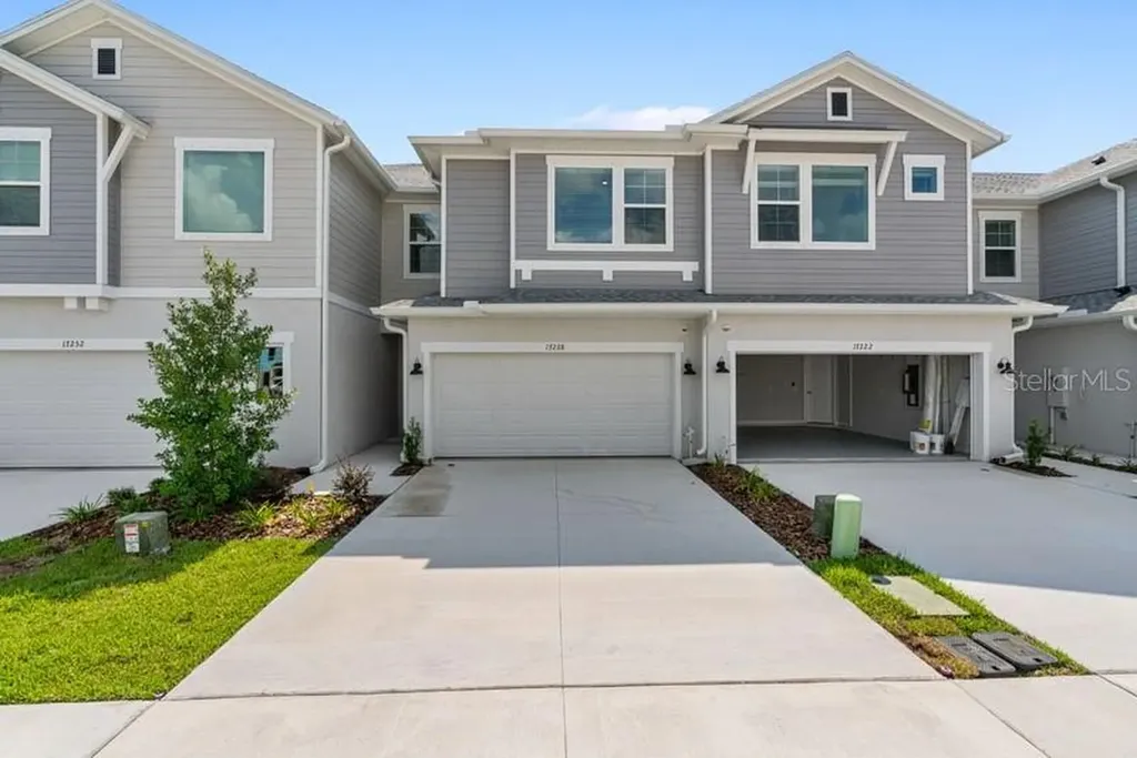 17228 Balance Cove Land O Lakes FL 34638