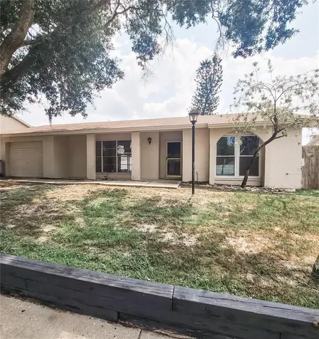 12509 Limpet Drive Tampa FL 33625