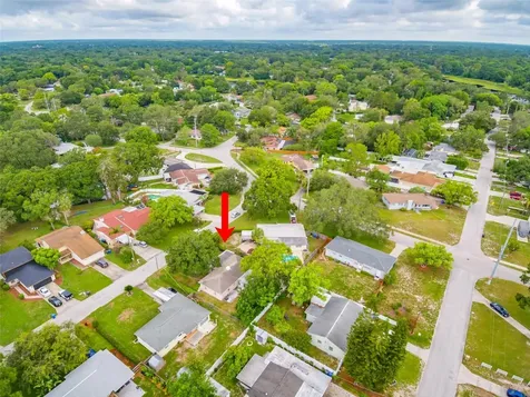 11737 Forest Hills Drive Tampa FL 33612