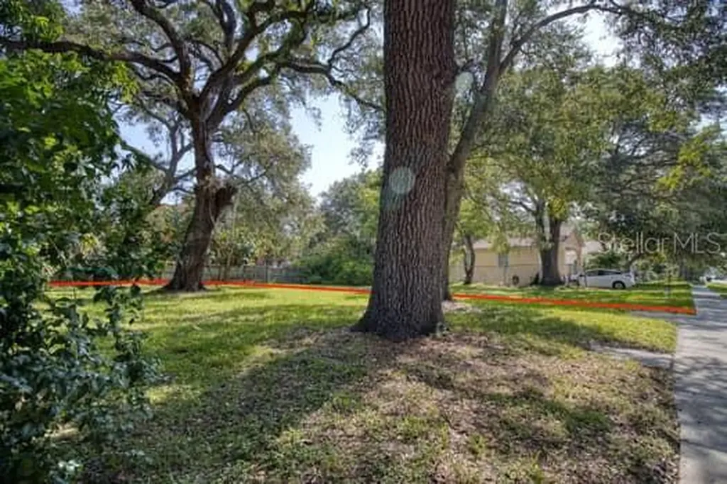 000 Newton Avenue S St Petersburg FL 33701
