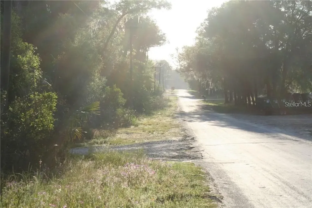 4541 SE 95th Street Ocala FL 34480