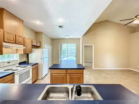 10342 Sun Villa Boulevard Orlando FL 32817