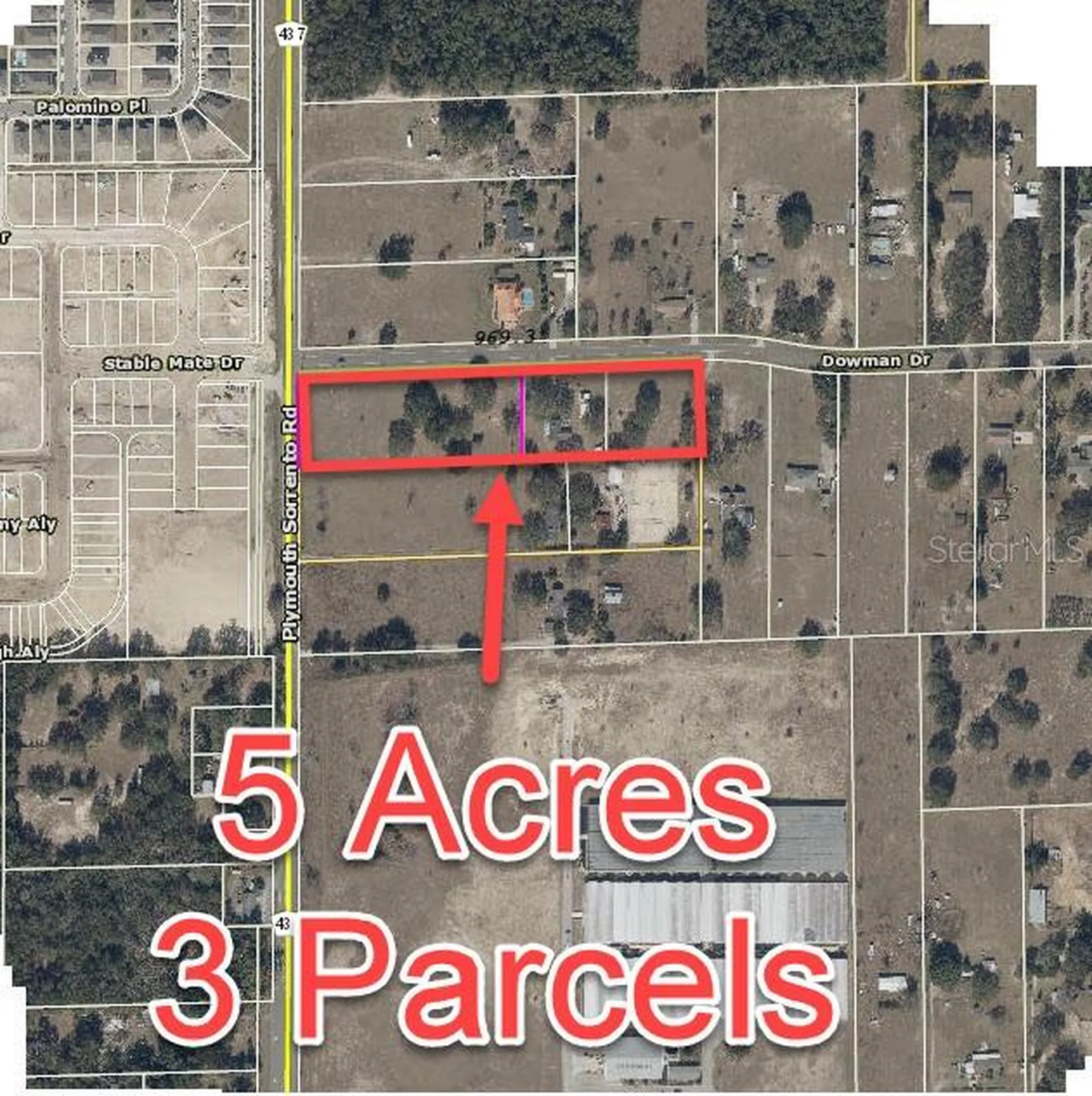 2864 Dowman Drive Apopka FL 32712