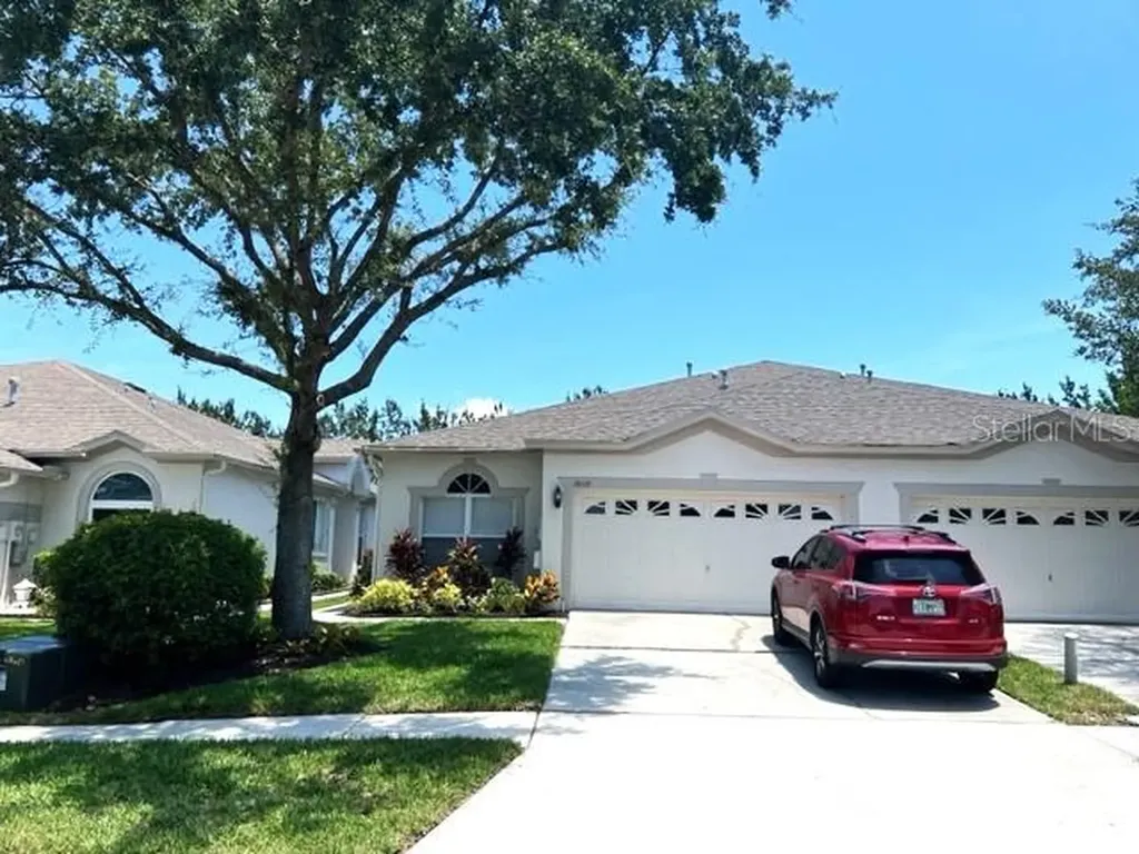 30119 Emmetts Court Wesley Chapel FL 33543