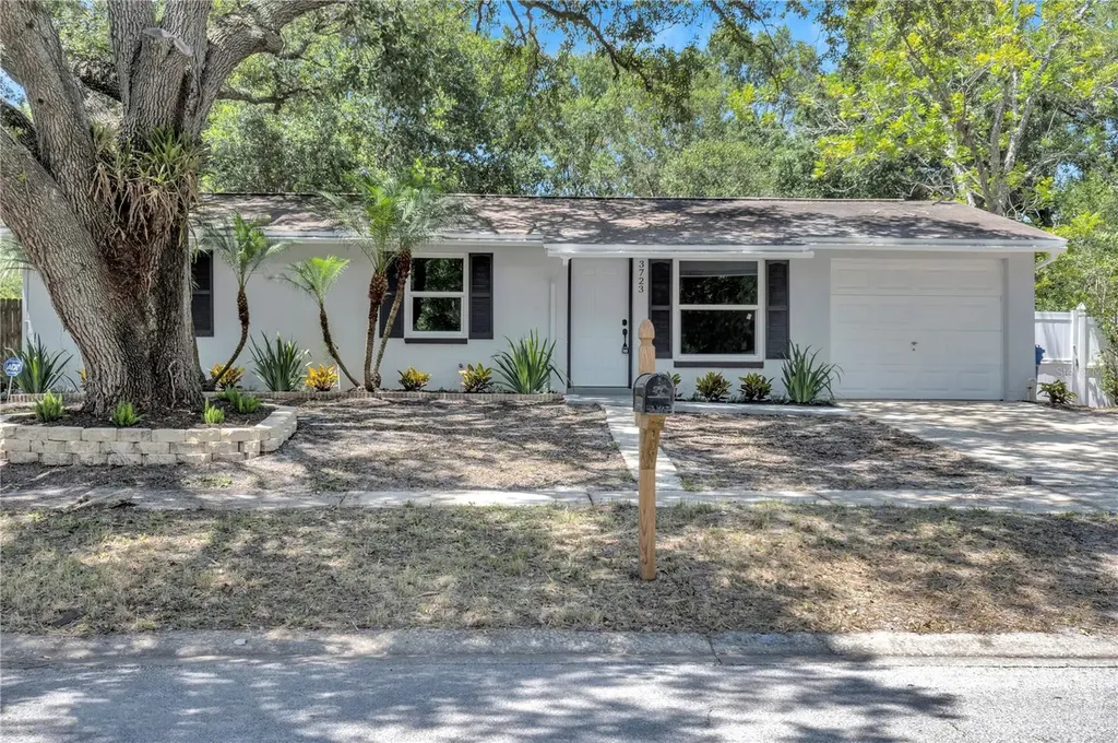 3723 Meadowbreeze Drive Tampa FL 33619