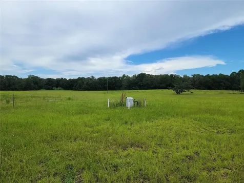 11580 SE Us Highway 441 Belleview FL 34420