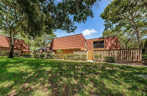 2703 3rd Court Palm Harbor FL 34684