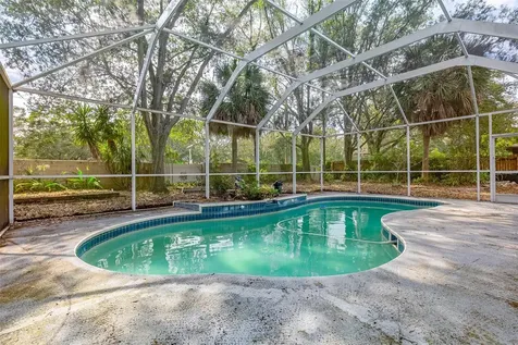 746 Rustic Oaks Drive Palm Harbor FL 34684
