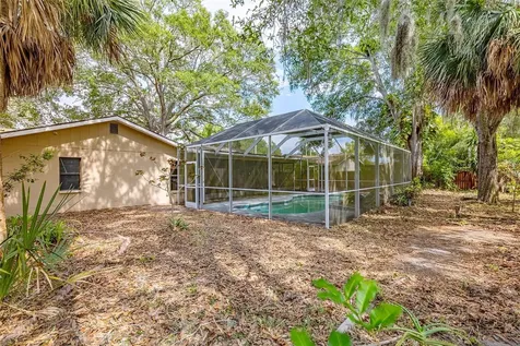 746 Rustic Oaks Drive Palm Harbor FL 34684