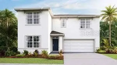 33358 Apricot Tree Court Wesley Chapel FL 33543