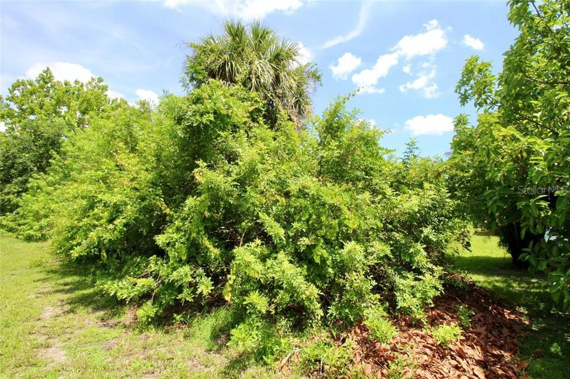 18311 Van Nuys Circle Port Charlotte FL 33948