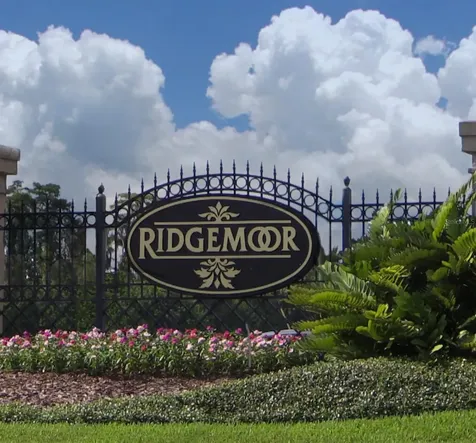 3886 Timber Ridge Court Palm Harbor FL 34685