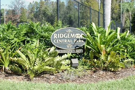 3886 Timber Ridge Court Palm Harbor FL 34685