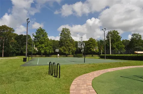 3886 Timber Ridge Court Palm Harbor FL 34685