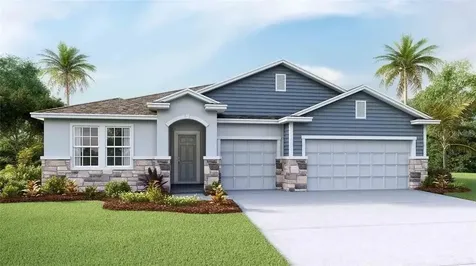33531 Hamilton Hill Lane Wesley Chapel FL 33545