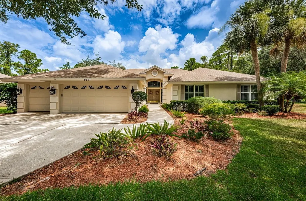 3917 Saywood Court Palm Harbor FL 34685