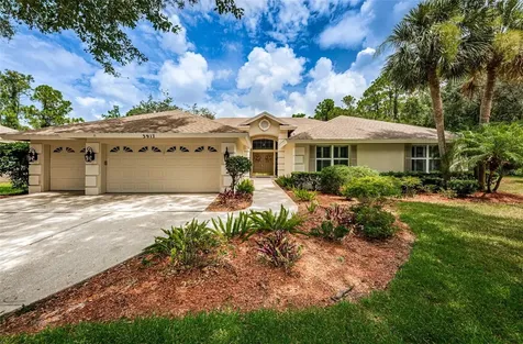 3917 Saywood Court Palm Harbor FL 34685