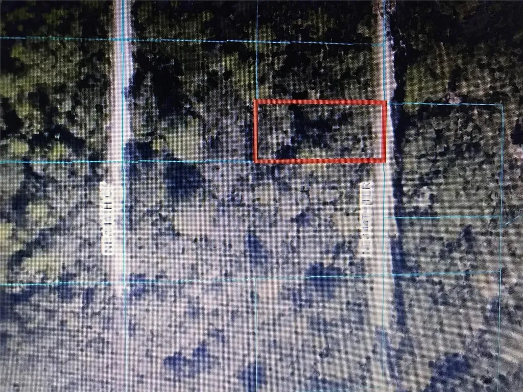 Tba NE 144th Terrace Fort Mc Coy FL 32134