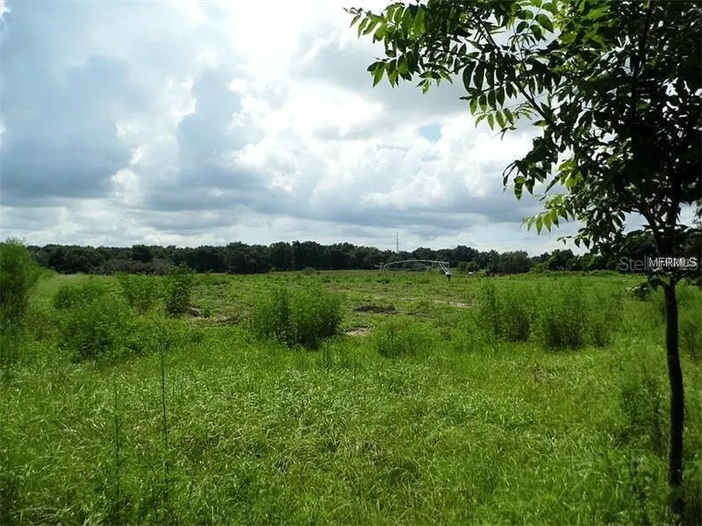 10201 Timmons Road Thonotosassa FL 33592