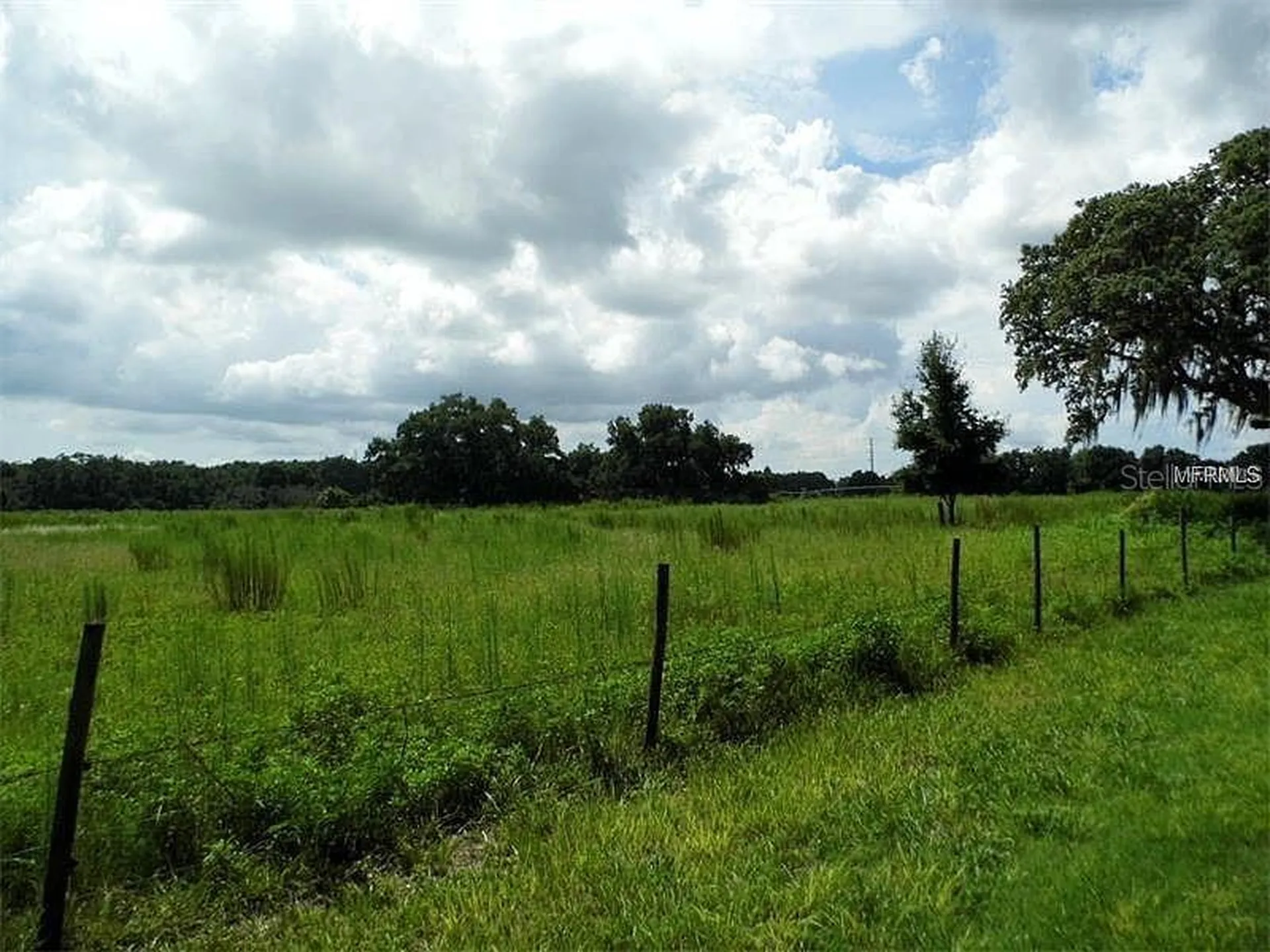 10201 Timmons Road Thonotosassa FL 33592