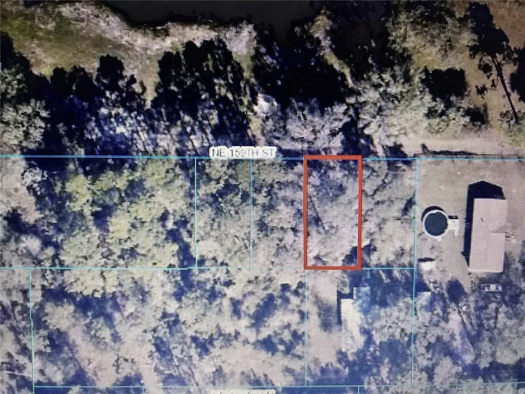 Tba NE 159th Street Fort Mc Coy FL 32134