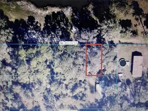 Tba NE 159th Street Fort Mc Coy FL 32134