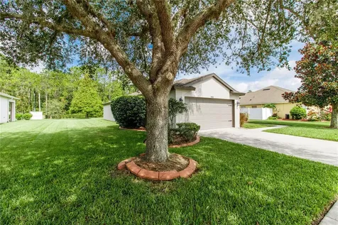 5043 Lurgan Road Land O Lakes FL 34638