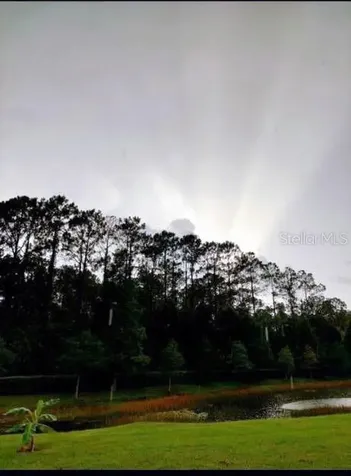 5043 Lurgan Road Land O Lakes FL 34638