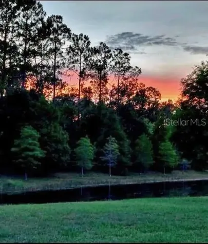 5043 Lurgan Road Land O Lakes FL 34638