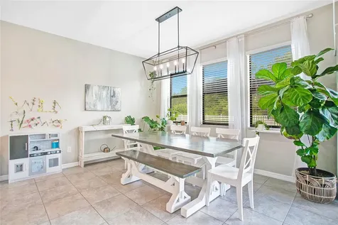 21350 Wistful Yearn Drive Land O Lakes FL 34637