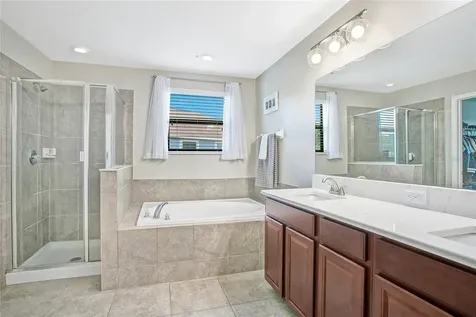 21350 Wistful Yearn Drive Land O Lakes FL 34637