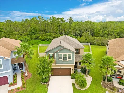 21350 Wistful Yearn Drive Land O Lakes FL 34637