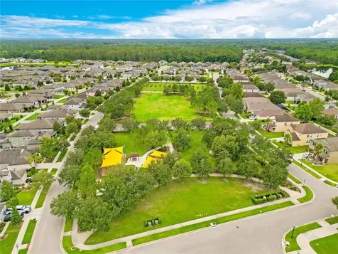 21350 Wistful Yearn Drive Land O Lakes FL 34637