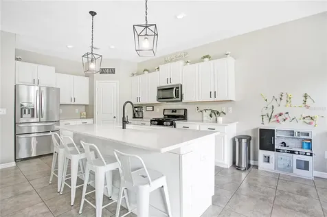 21350 Wistful Yearn Drive Land O Lakes FL 34637