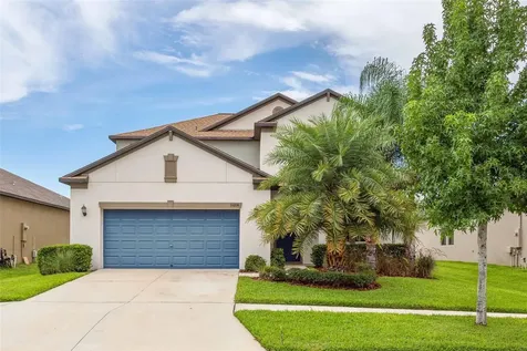 11014 Little Blue Heron Drive Riverview FL 33579