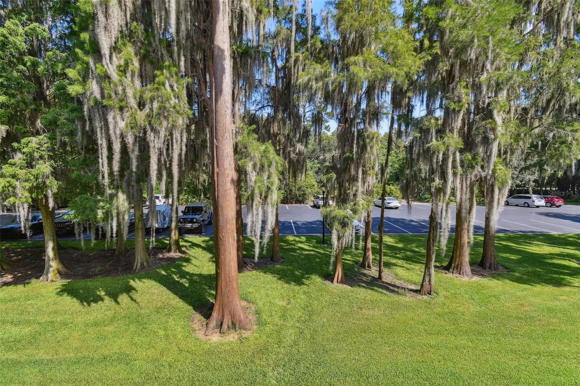 36750 Us Highway 19 N Palm Harbor FL 34684