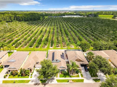 13617 Darchance Road Windermere FL 34786