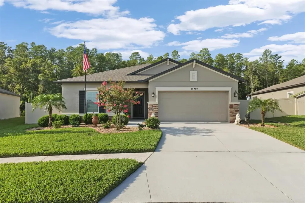 18786 Alfaro Loop Spring Hill FL 34610