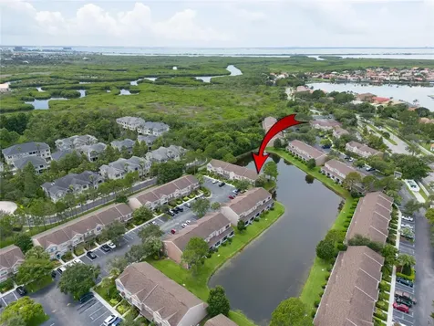 6359 Bayside Key Drive Tampa FL 33615
