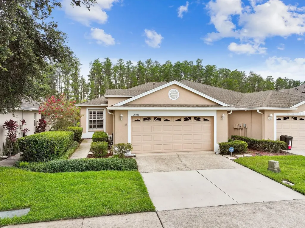 19344 Haskell Place Land O Lakes FL 34638