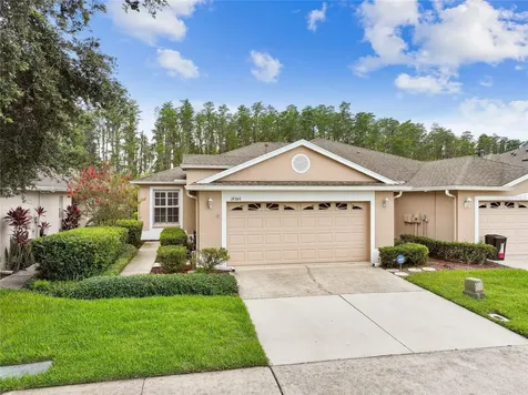 19344 Haskell Place Land O Lakes FL 34638