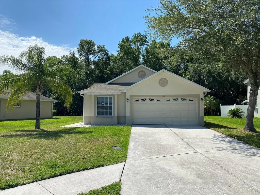4607 Mcbrine Court Land O Lakes FL 34639