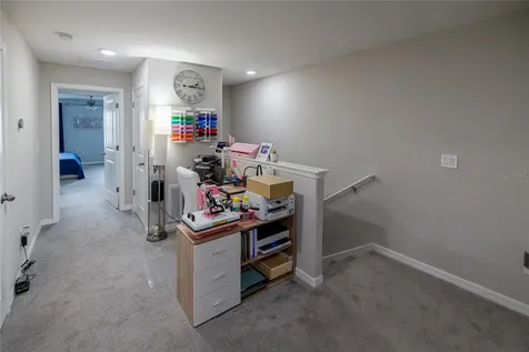 3938 Cat Mint Street Tampa FL 33619