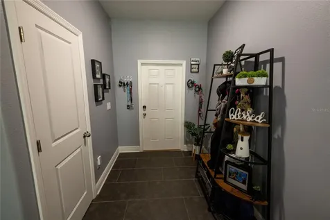 3938 Cat Mint Street Tampa FL 33619
