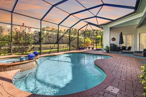 21233 Lake Vienna Drive Land O Lakes FL 34638
