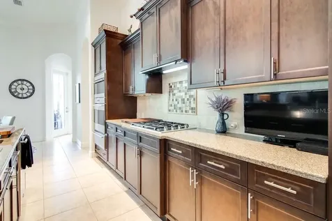 21233 Lake Vienna Drive Land O Lakes FL 34638