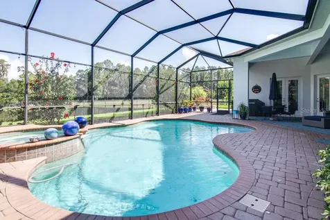 21233 Lake Vienna Drive Land O Lakes FL 34638