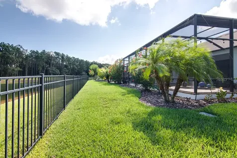 21233 Lake Vienna Drive Land O Lakes FL 34638